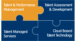 Talent Performance Management