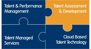 Talent Assessment Development